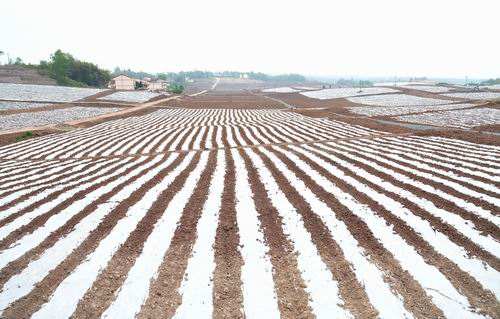 新建農(nóng)膜項目年產(chǎn)能不低于1萬噸