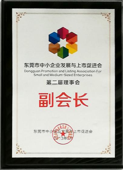 2013年東莞市中小企業發展與上市促進會第二屆理事會副會長